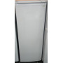 Congélateur Armoire PROLINE UFZ170